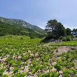 Apartamento Dingac