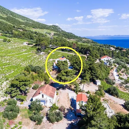 Apartments Villa Dingac *