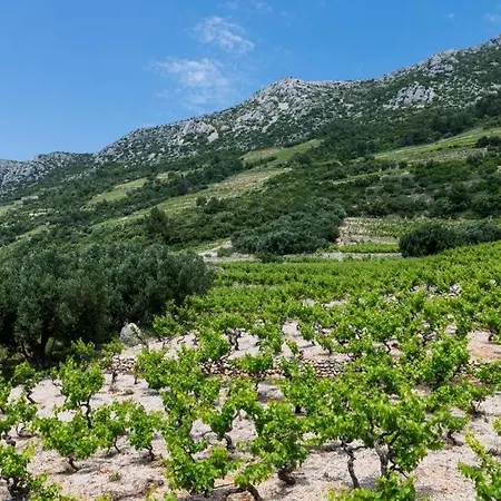 Dingac Apartman Gornji Dingač